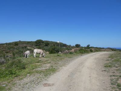 Croisement après Bufadors
