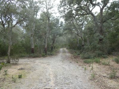 Croisement après Bec Baix 2