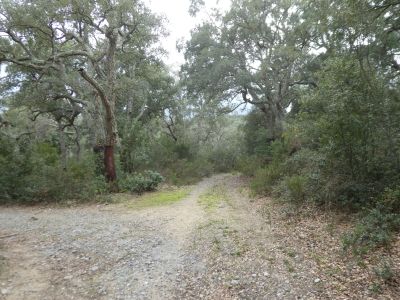 Croisement après Bec Baix 3