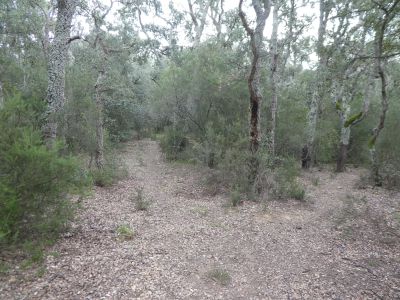 Croisement avant gué Guilla