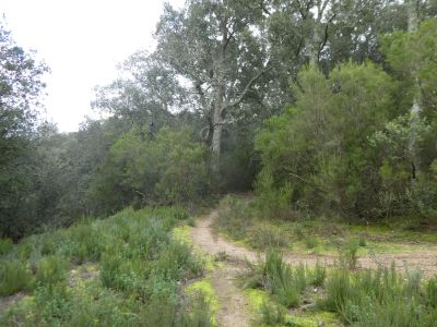 Croisement après gué Guilla