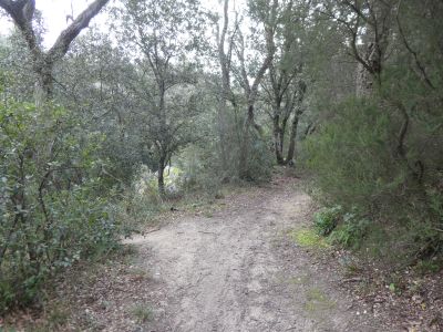 Croisement après gué Guilla 2