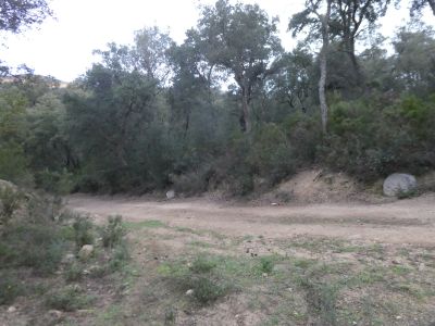 Croisement après Mallol 2