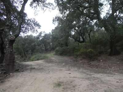 Croisement après Mallol 3