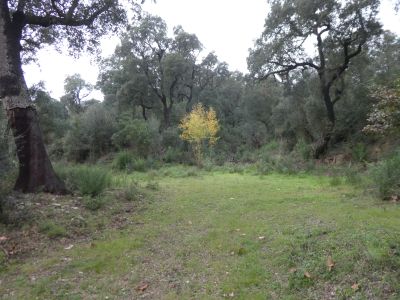 Croisement après Mallol 4