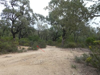 Croisement après Mallol 5