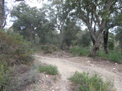 Croisement balisé Eugènia