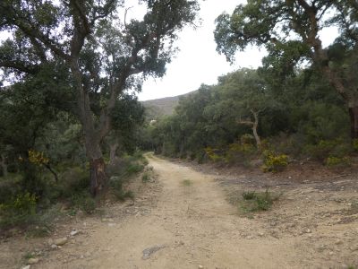 Croisement après Eugènia