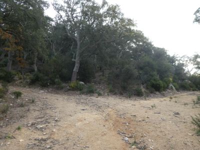 Croisement après Eugènia 2