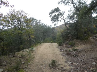 Croisement raccourci Llinars