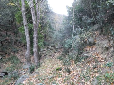 Croisement raccourci Llinars 2