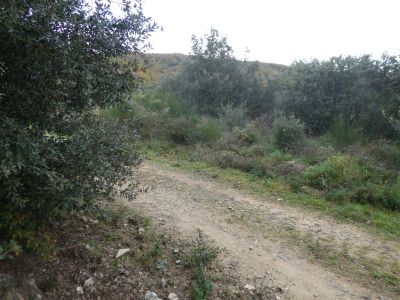 Croisement raccourci Llinars 3