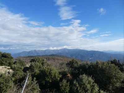 Vue Albères 2