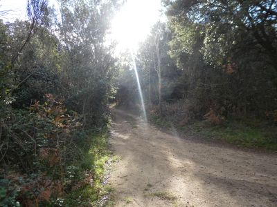 Croisement après sommet 4