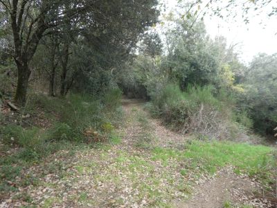Croisement après Sota