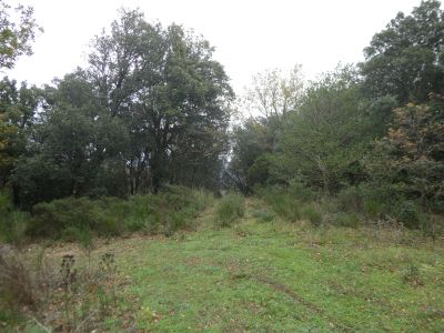 Croisement après Sota 2