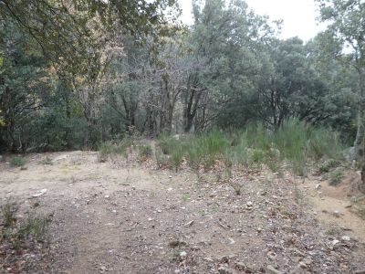 Croisement après Sota 3