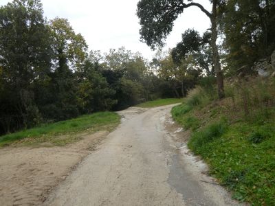 Croisement après Mallol