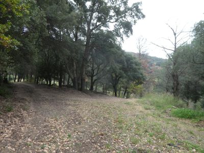 Croisement après Mallol 2