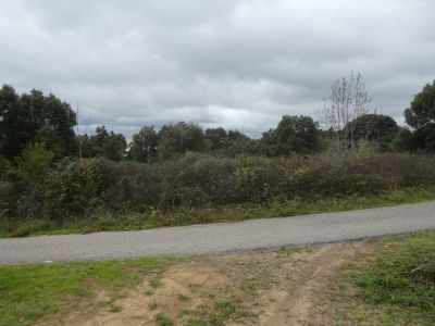 Croisement route Carreres