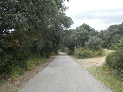 Croisement fin route Carreres