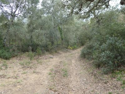 Croisement après fin route Carreres
