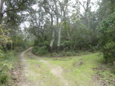 Croisement après Bec Baix