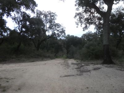 Croisement après Guilla 2