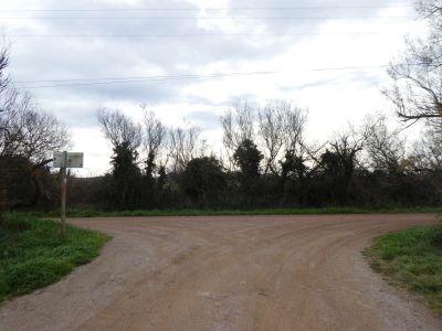 Croisement après Martí 4