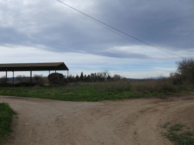 Croisement après Claus