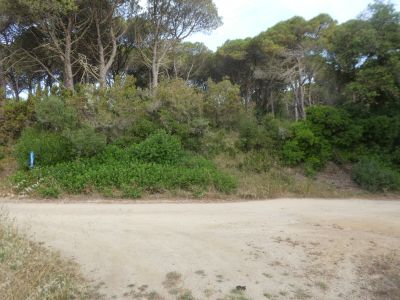 Croisement après Xifre 2