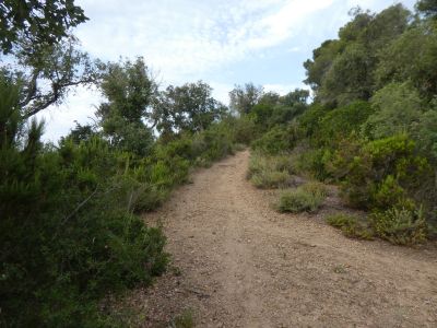 Croisement après Subà 3