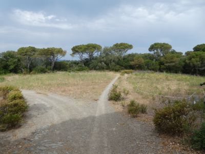 Croisement après Puig