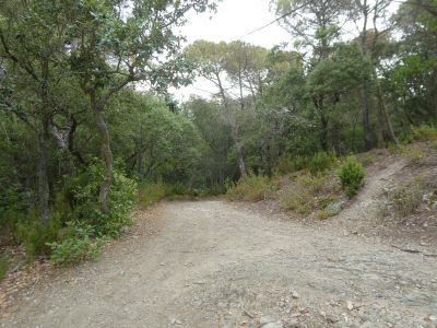 Croisement après Llobinar 2