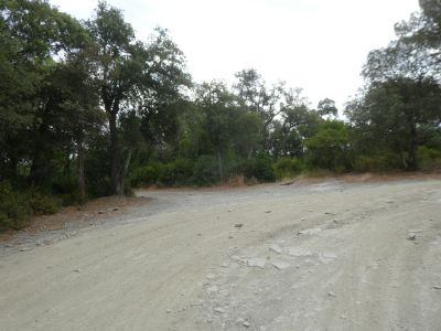 Croisement après Fitor