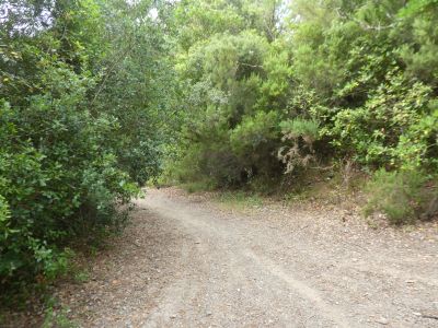 Croisement accès Montagut 2