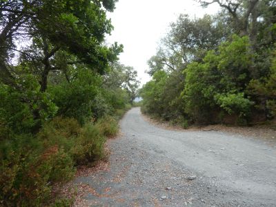 Croisement Inscultures
