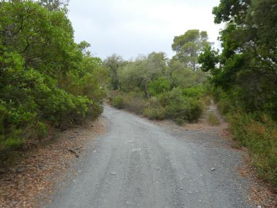 Croisement Inscultures 2