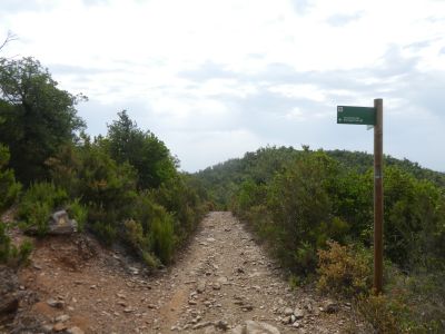 Croisement Inscultures Montagut