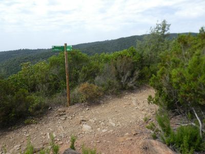 Croisement Inscultures Montagut 2