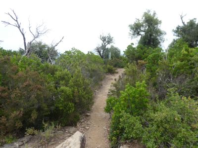 Croisement après Montagut