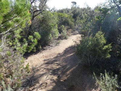 Croisement après Espenyada