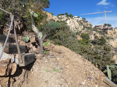 Croisement montée Puntabrava 2