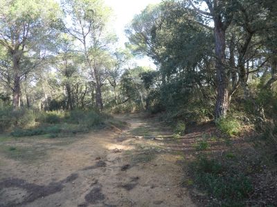 Croisement après Petit 3