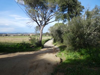 Croisement après Petit 4