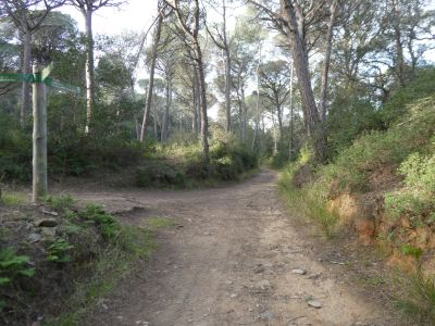 Croisement GR92 après Basses