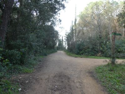 Croisement après GR92