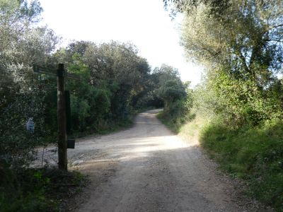 Croisement montée Gros