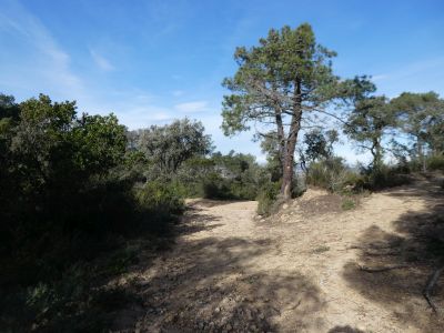 Croisement Gros / Petit