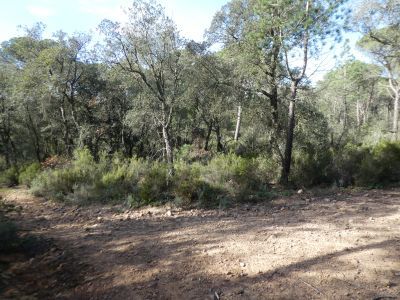 Croisement après Gros / Petit